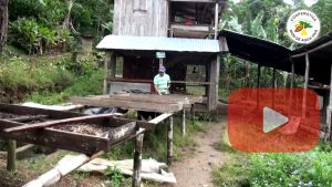 Ríos de Agua Viva apuesta por mejorar los sistemas productivos en rubro café