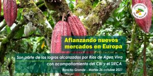 Fortalecer mercados europeos